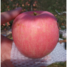 Apple aus China Non-Bagged frischen süßen roten FUJI Apple
